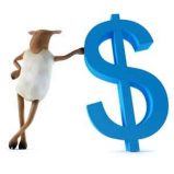 chinese-zodiac-sheep-money-300x300.jpg
